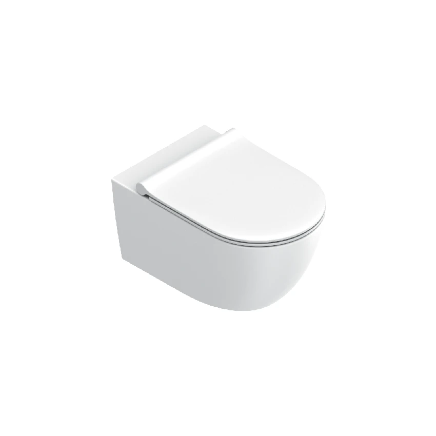 Унитаз подвесной безободковый Catalano Sfera 55x35 Silentech белый матовый 0511750021